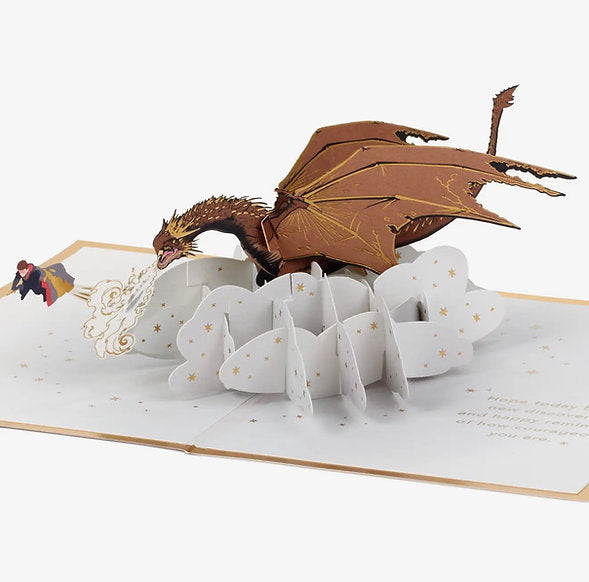 Harry Potter Card - 3D Pop-Up Harry and Dragon