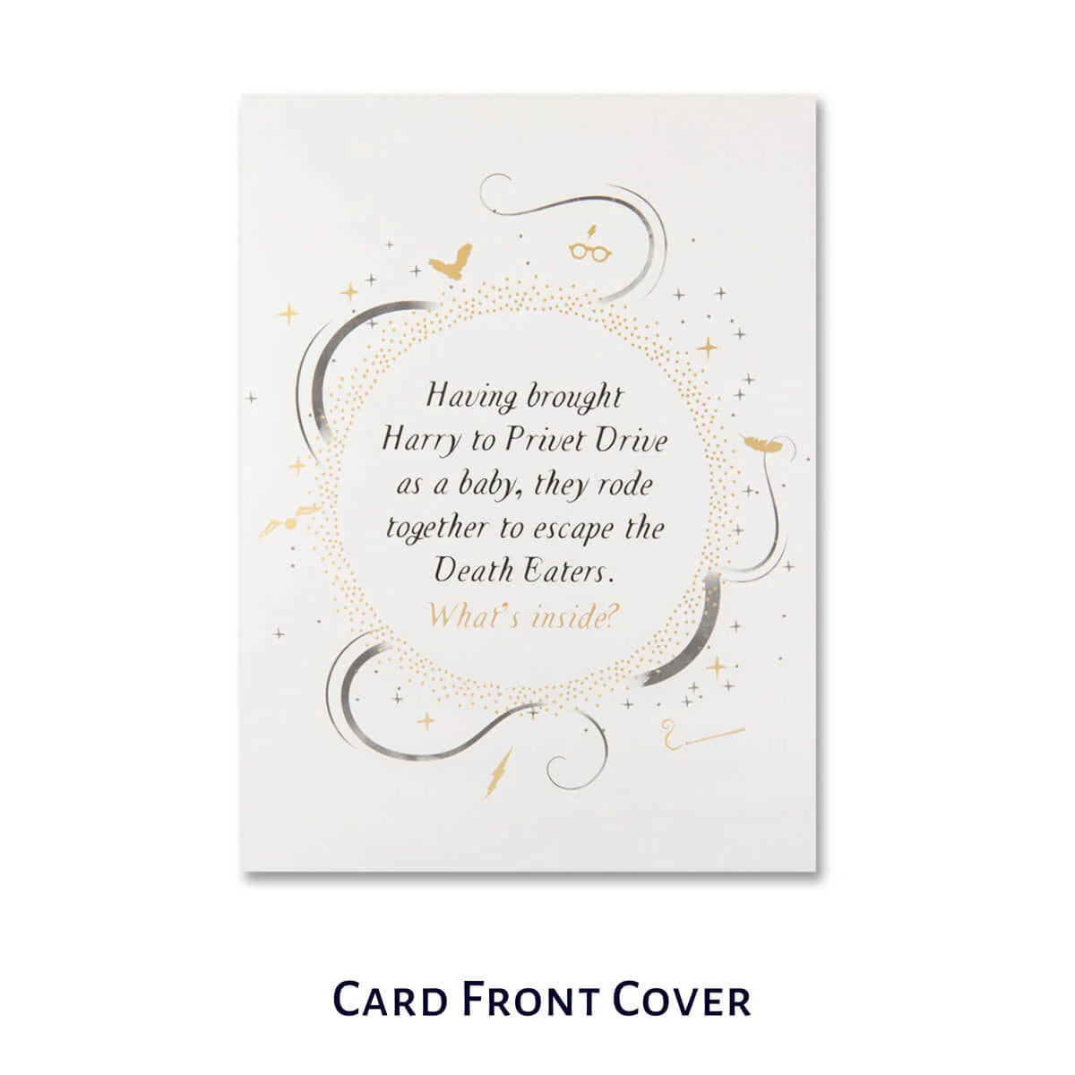 Harry Potter Card - Hagrid Pop-Up