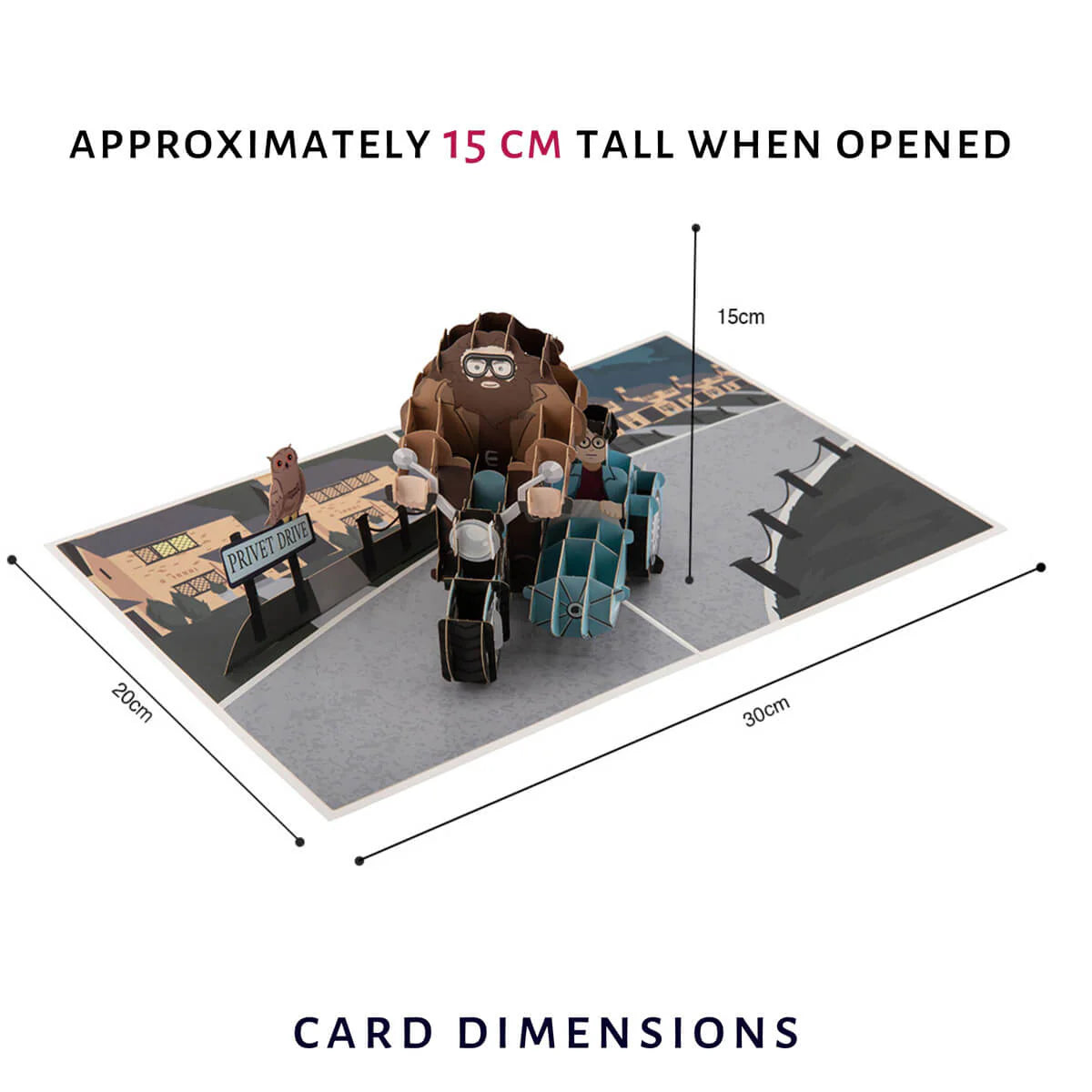 Harry Potter Card - Hagrid Pop-Up