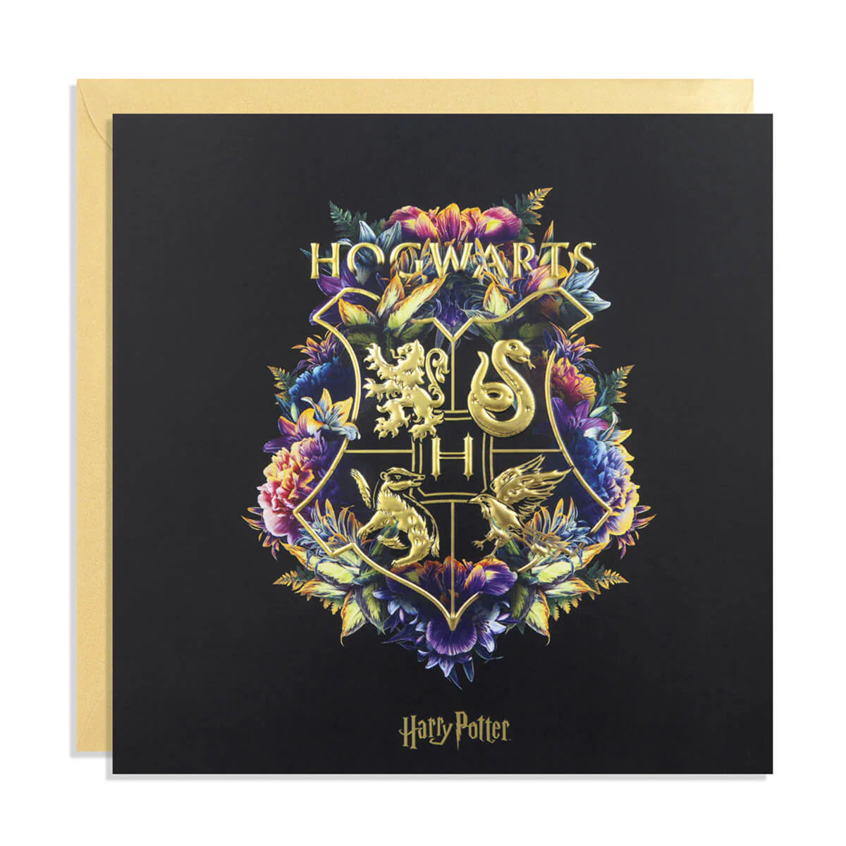 Harry Potter Card - Hogwarts Fine Oddities