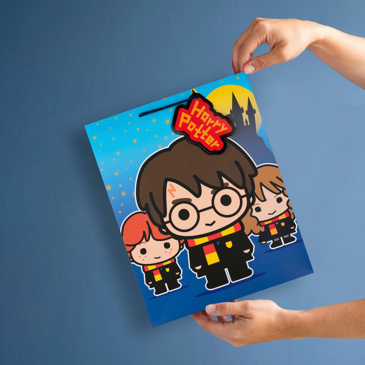 Harry Potter Gift Bag - Large Cartoon Design